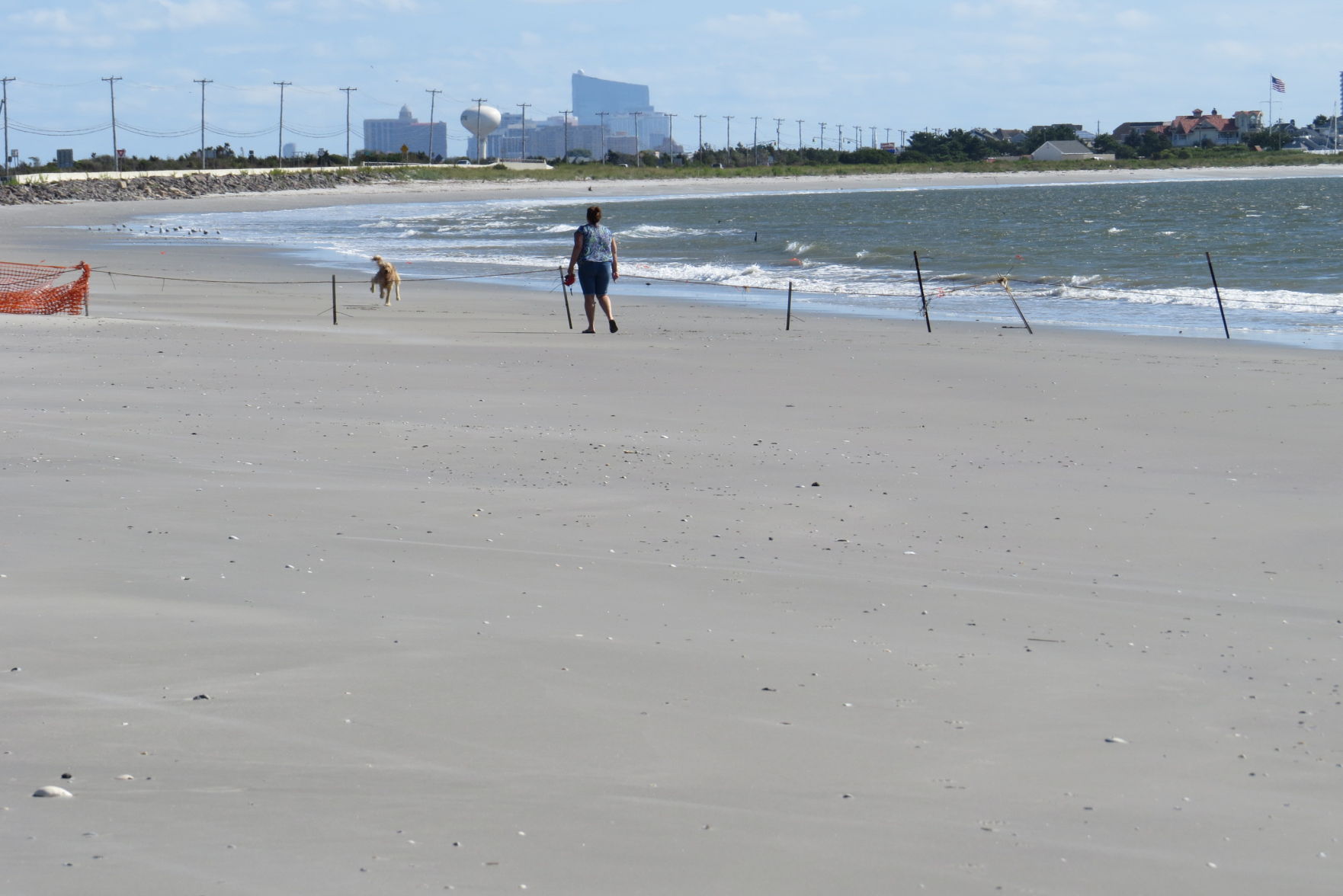 100816_urg_cdb_dogbeach (7).JPG